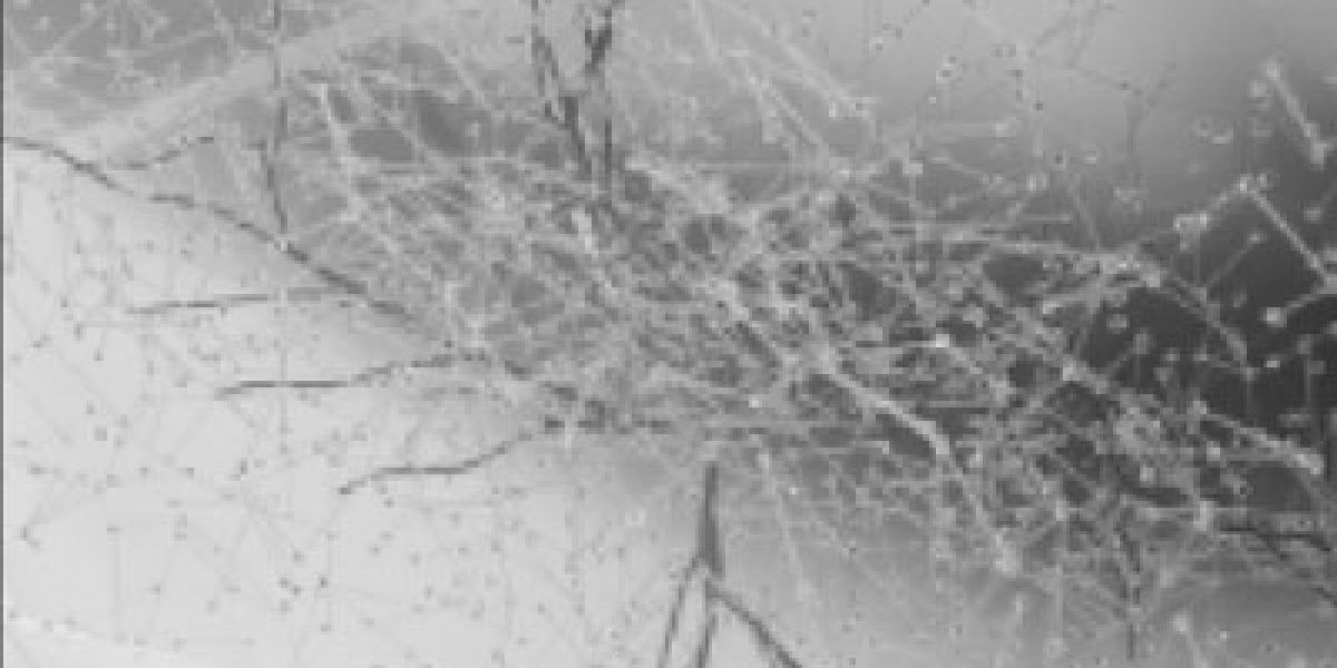 Neuro